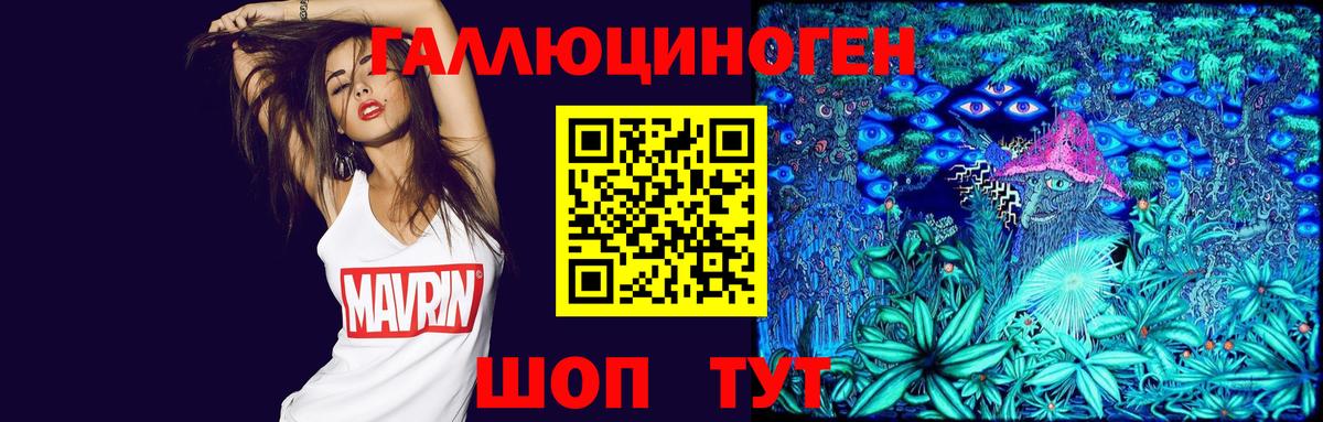 Галлюциногенные грибы MAGIC MUSHROOMS  Вход с VPN  где купить наркоту  Свободный 